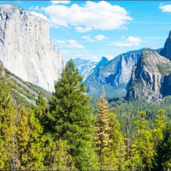 Meet your Posher, Todd! - Picture 3 of 8